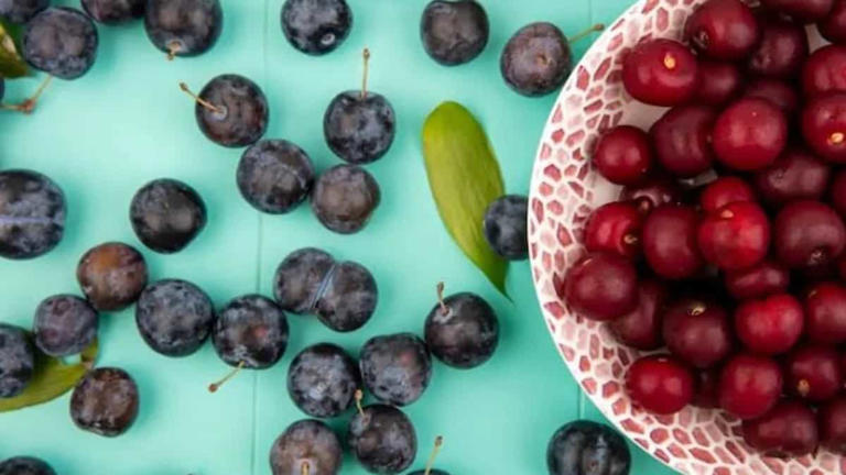 Falsa berries: culinary applications in traditional summer diet