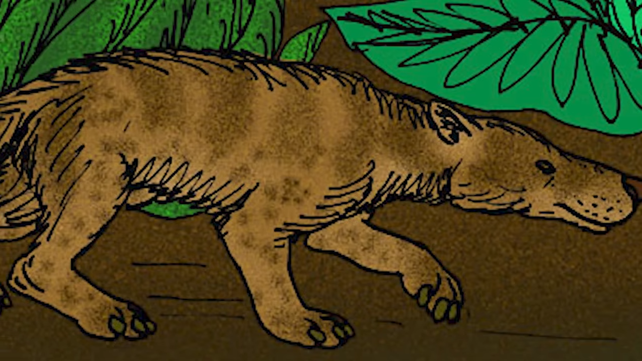 What really happened after the “End Cretaceous Event”