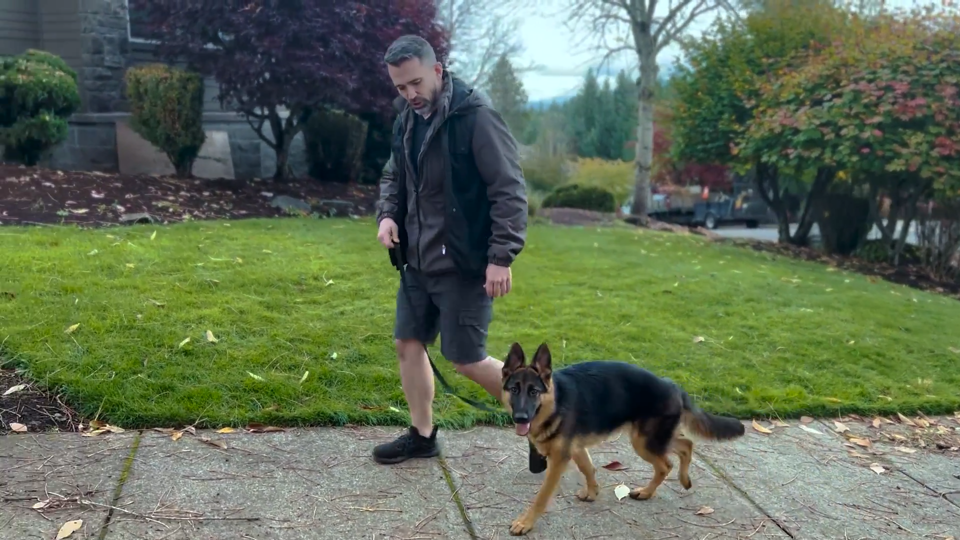 The simple training method that stops a dog from pulling ahead