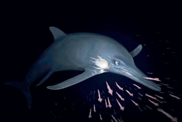 Groundbreaking discovery of 180million year old sea monster more than ...