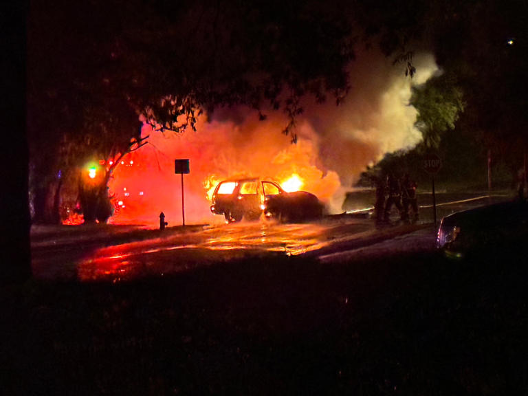 Car bursts into flames after hitting pole in South Memphis