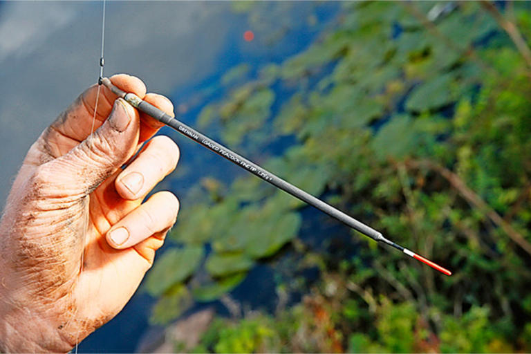 How to choose the right float for fishing