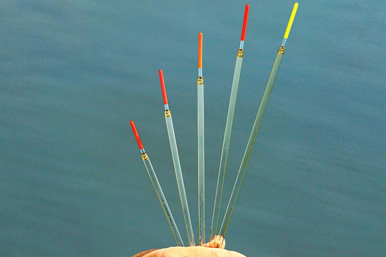 How to choose the right float for fishing