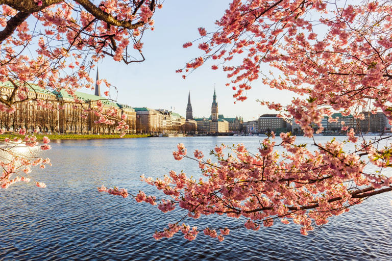 New train launched links Prague and Copenhagen — with tickets from £53