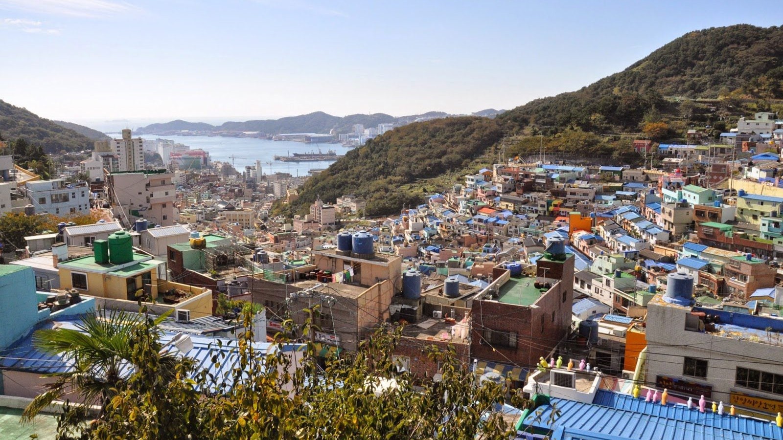 Inside Busan’s colorful hillside village and Korea’s biggest fish market
