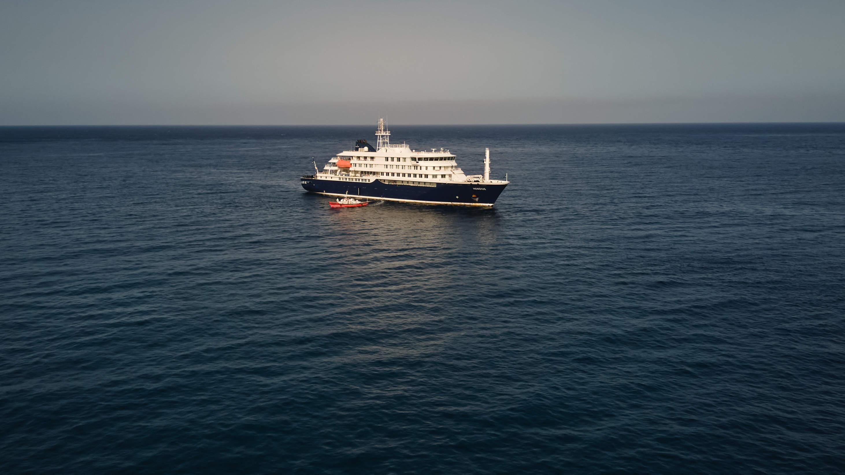 Hantavirus : un passager de la croisière infecté par une souche ...