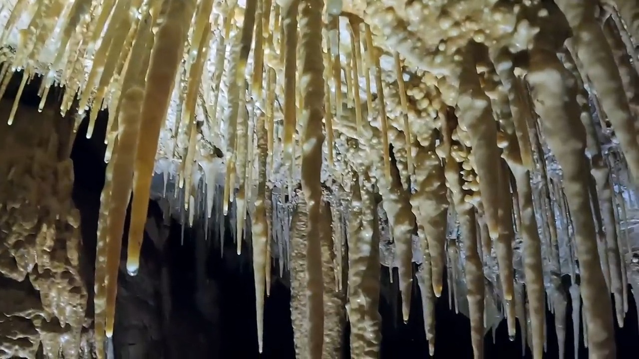 The cave was untouched - then he found formations, bones, and a toad ...
