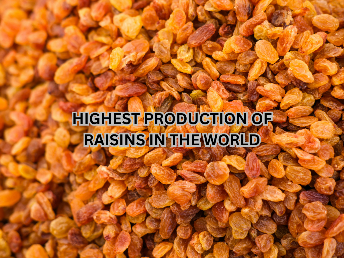 Which Country Known for Largest Production of Raisins (Kishmish) in the ...