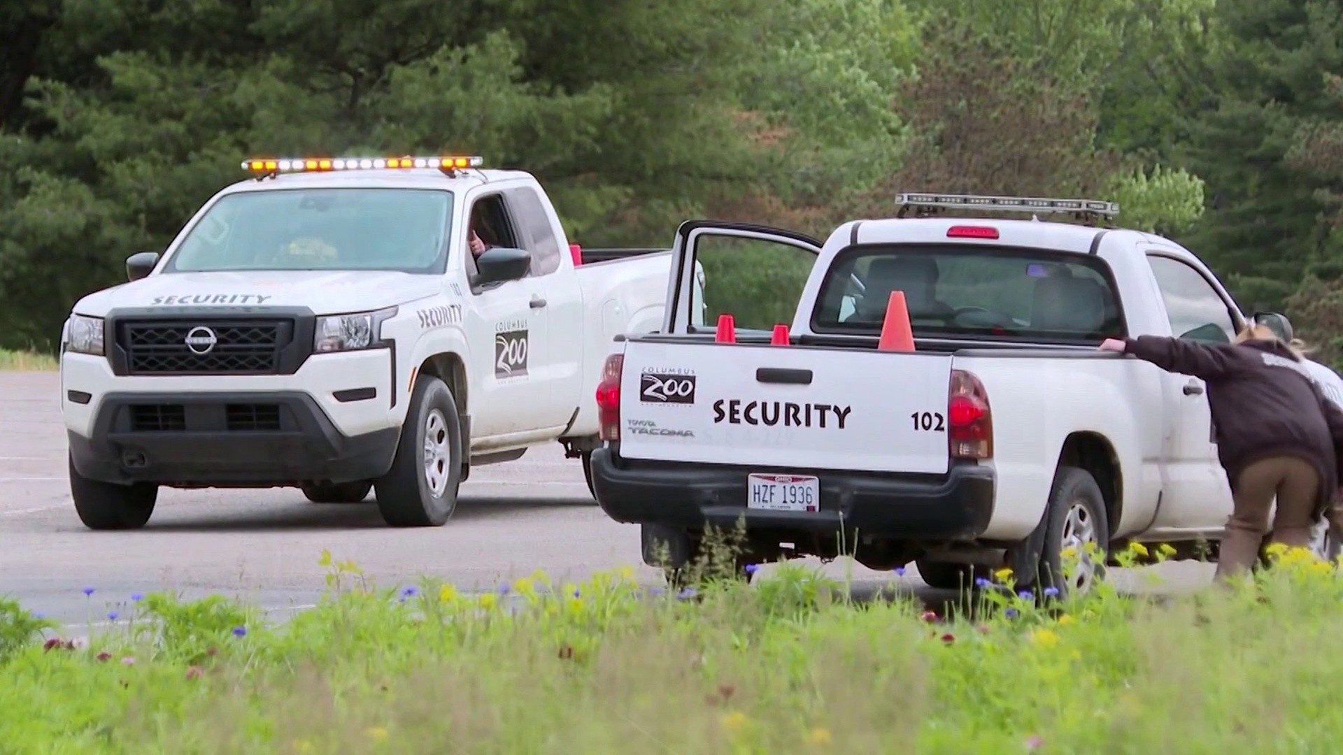 Wave of swatting hoaxes hits zoos and aquariums nationwide