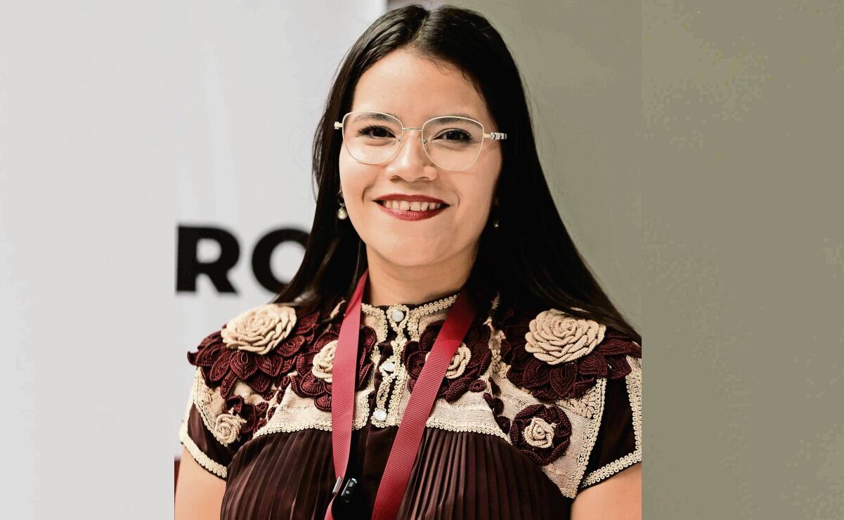 CEN de Morena asume responsabilidad por perfiles señalados; admite ...