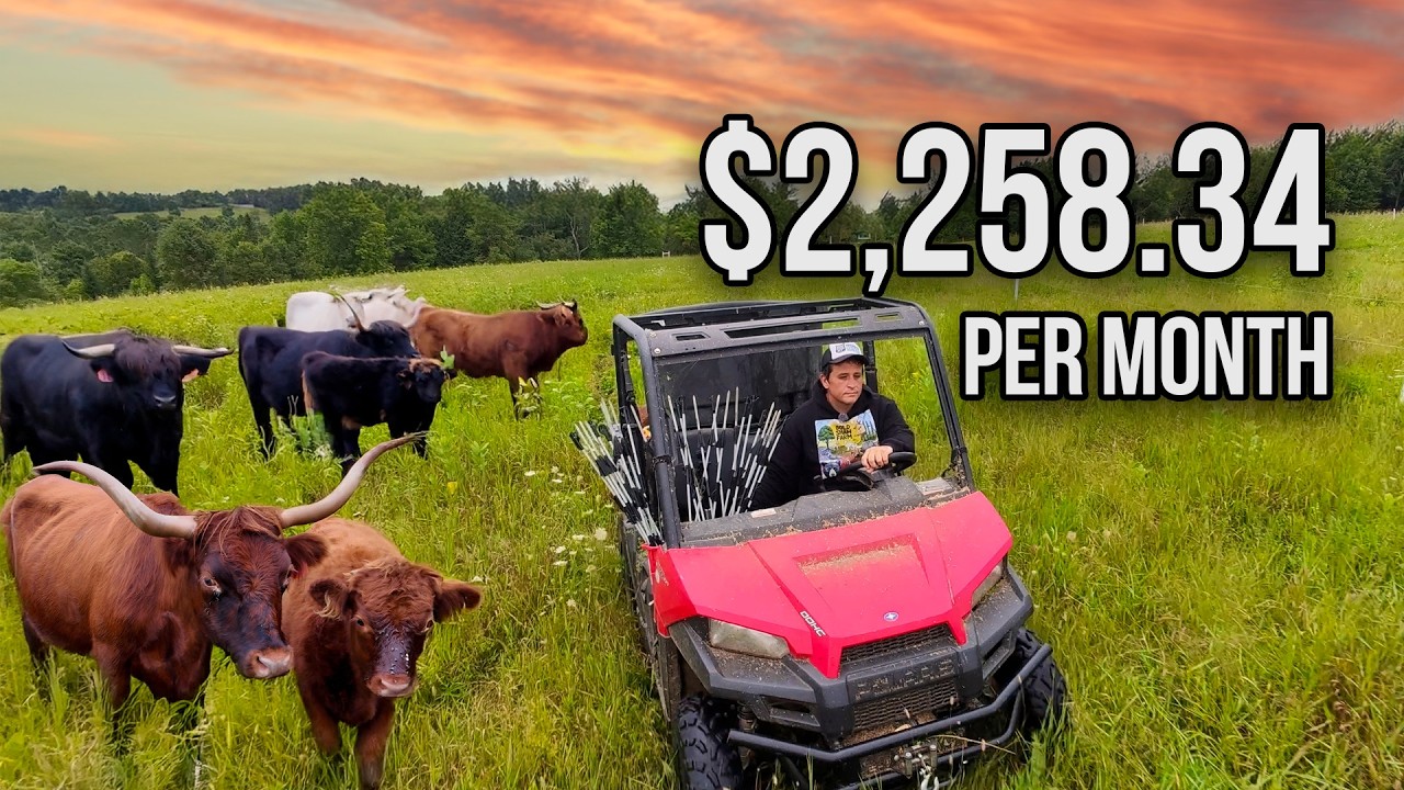 Calculate the shocking monthly cost of running a farm