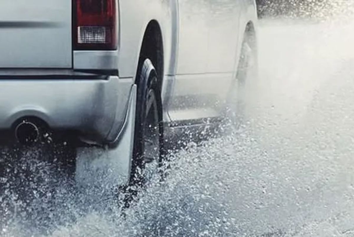 Woman killed after tree falls onto car in Knysna storm