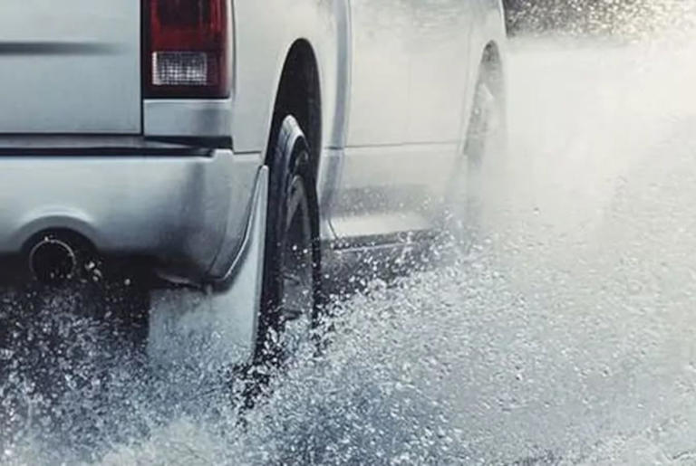 Woman killed after tree falls onto car in Knysna storm
