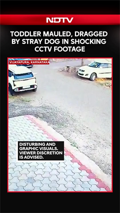 Stray dog attack in Vijayapura: Toddler mauled and dragged, horrifying ...