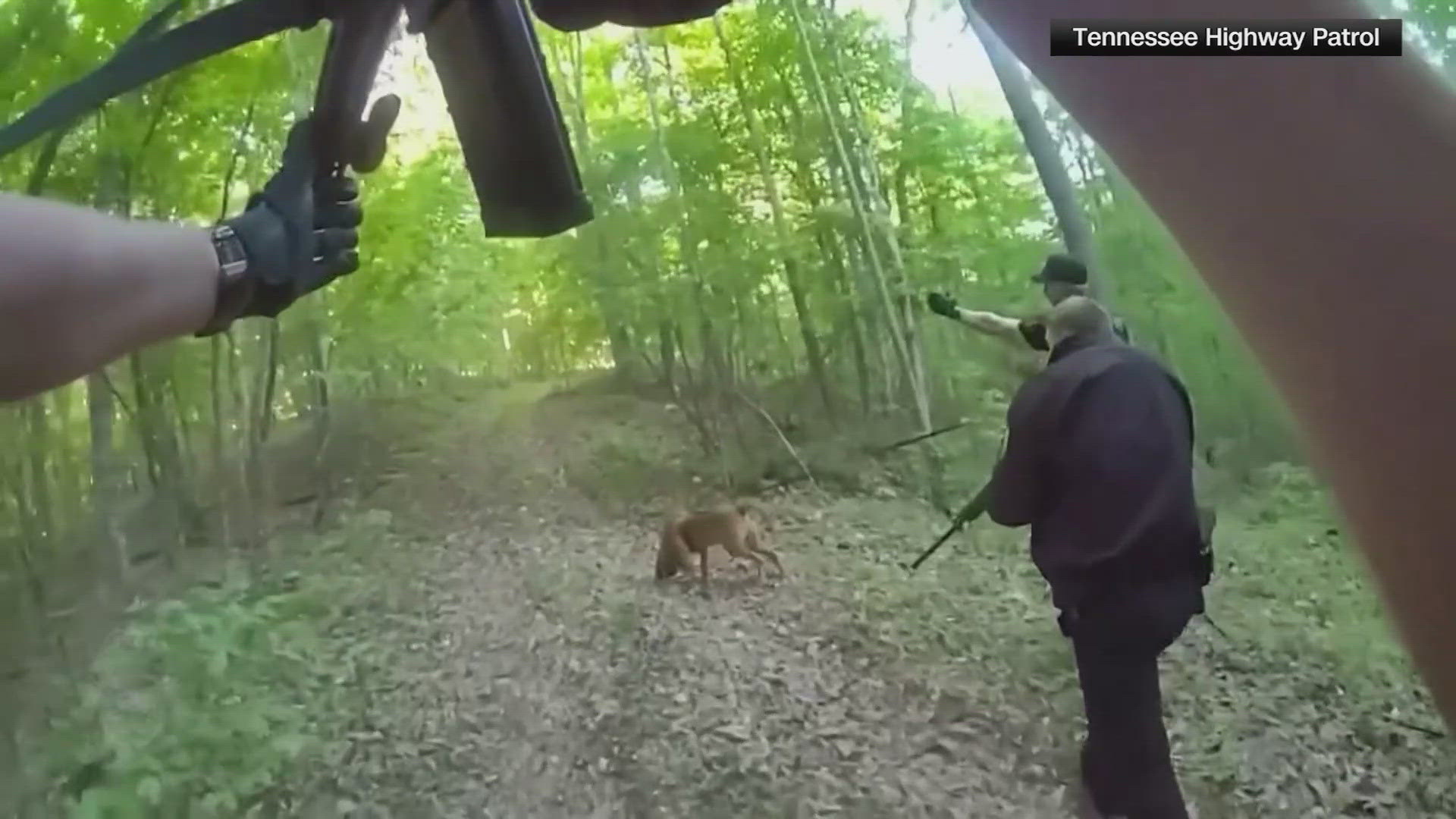 Manhunt for retired Special Forces soldier accused of shooting his wife ...