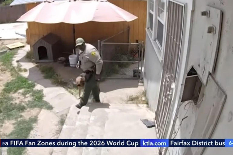 California homeowner outraged after deputy shoots and kills pet dog ...