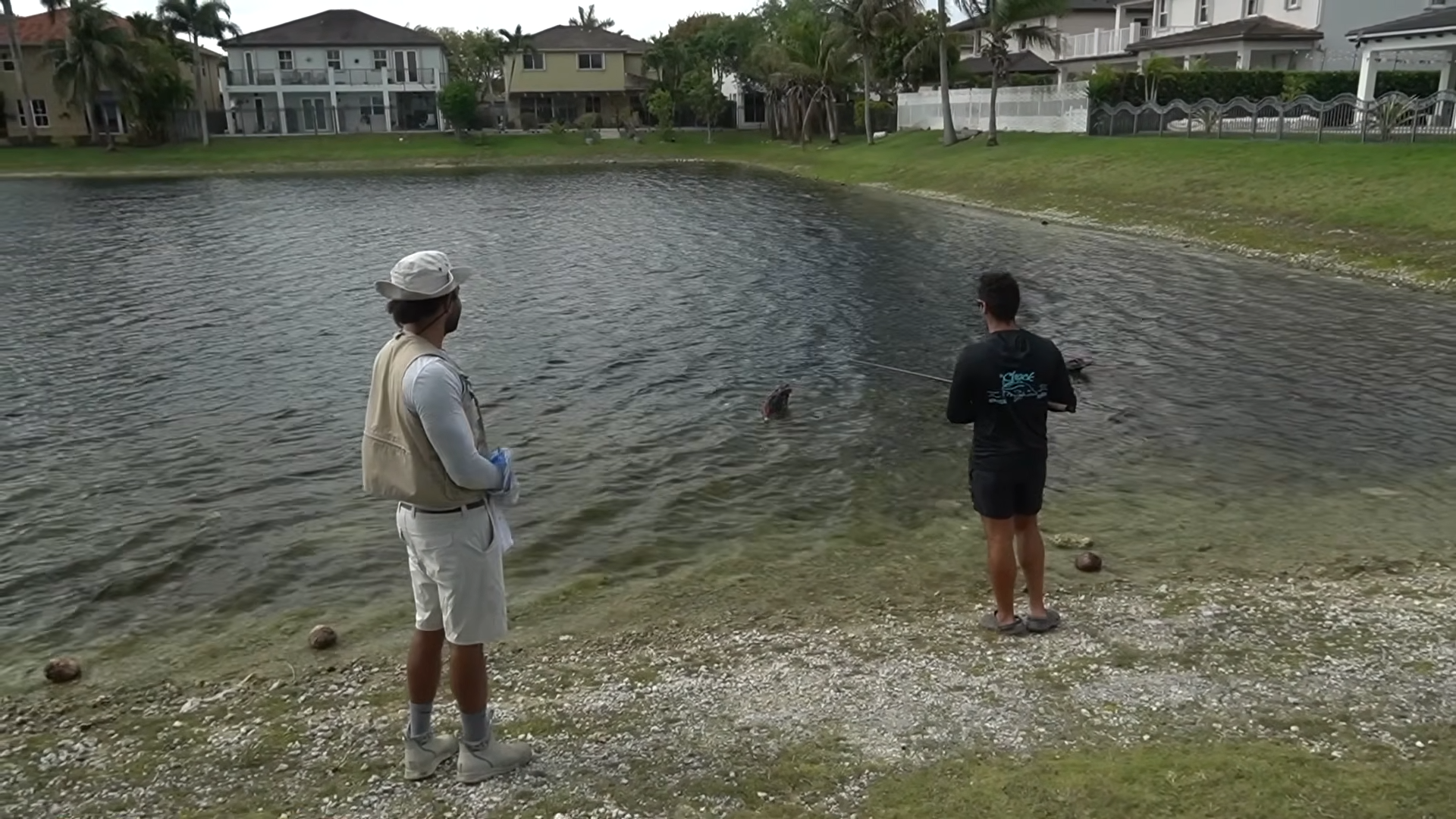 They were just fishing when fish ate a duck right before their eyes