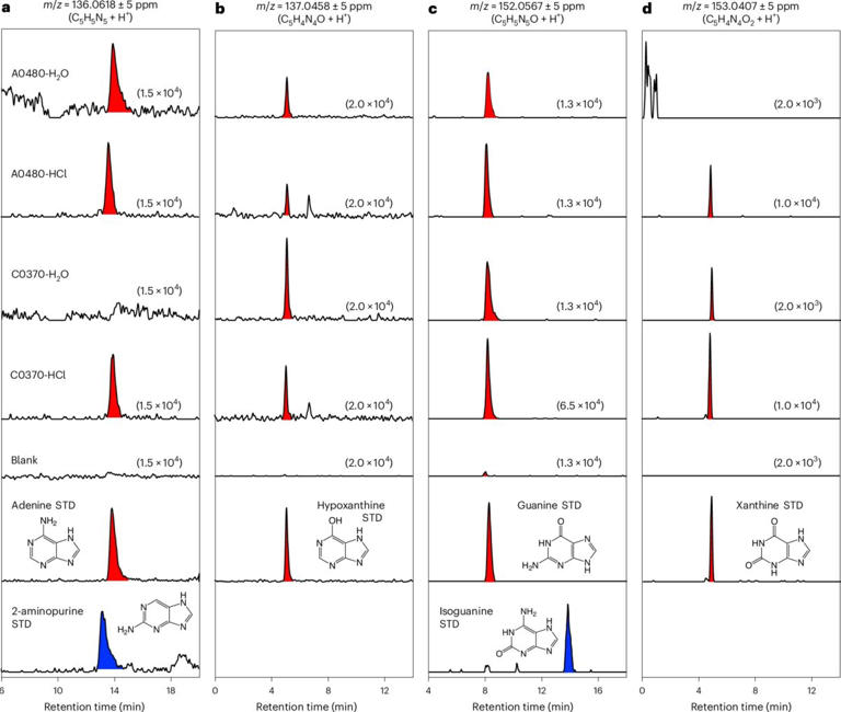Mr.universe 1986 Tokyo プラス資料 Japan's deep-space mission brought back an asteroid sample with