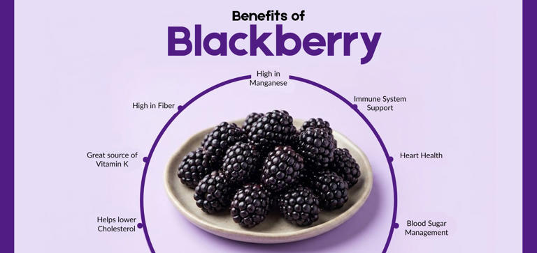 7 health benefits of blackberry: Nutrition, uses and perks