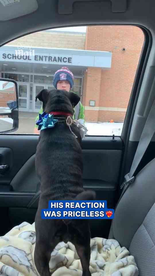 Family surprises child with rescued puppy as special gift