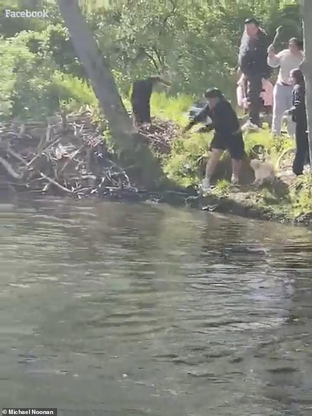 Moment boy, 8, is attacked by rabid beaver while fishing in river