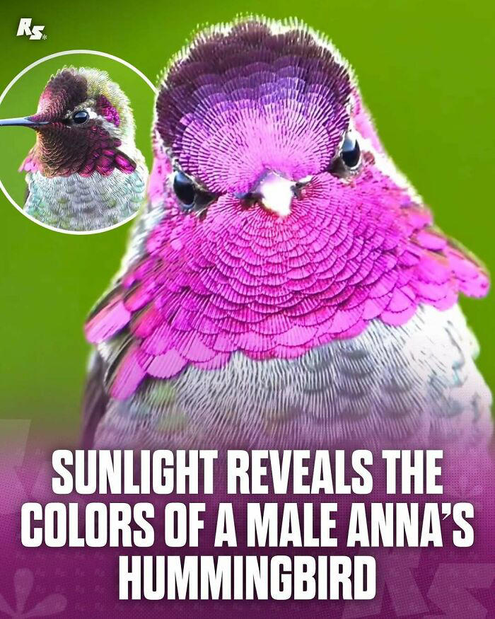 65 extraordinary photos of animals that prove nature still has its secrets