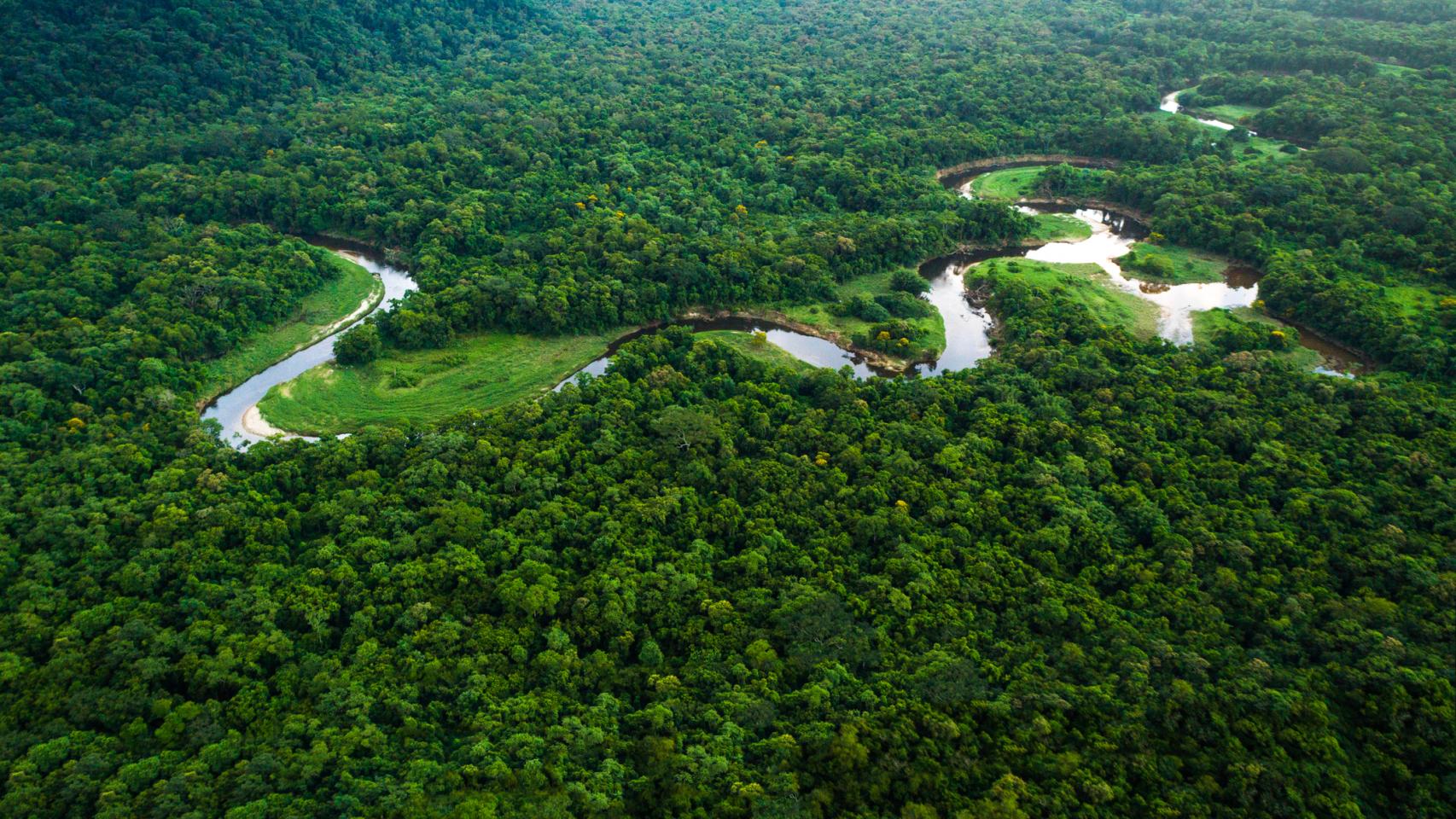 La Amazonía podría convertirse en una sabana: 