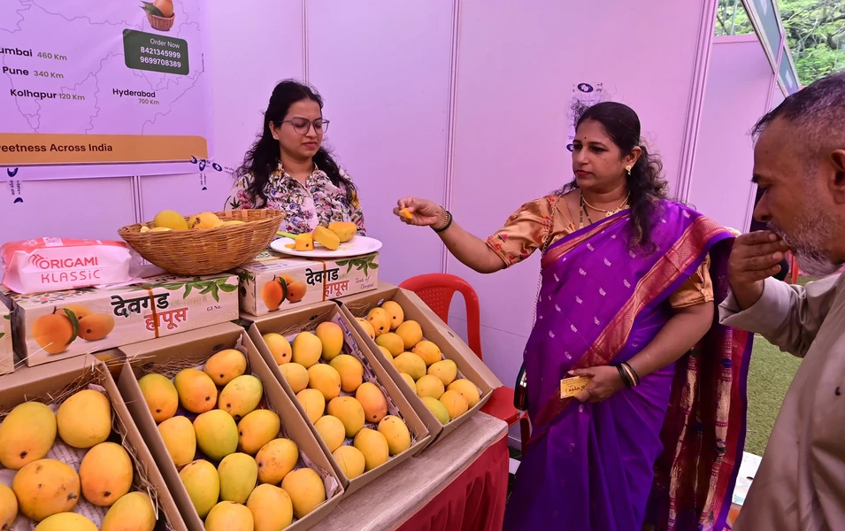 Experts debunk mango 'body heat' myth, urge moderation