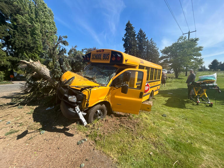 Lynden school bus driver crashes into tree