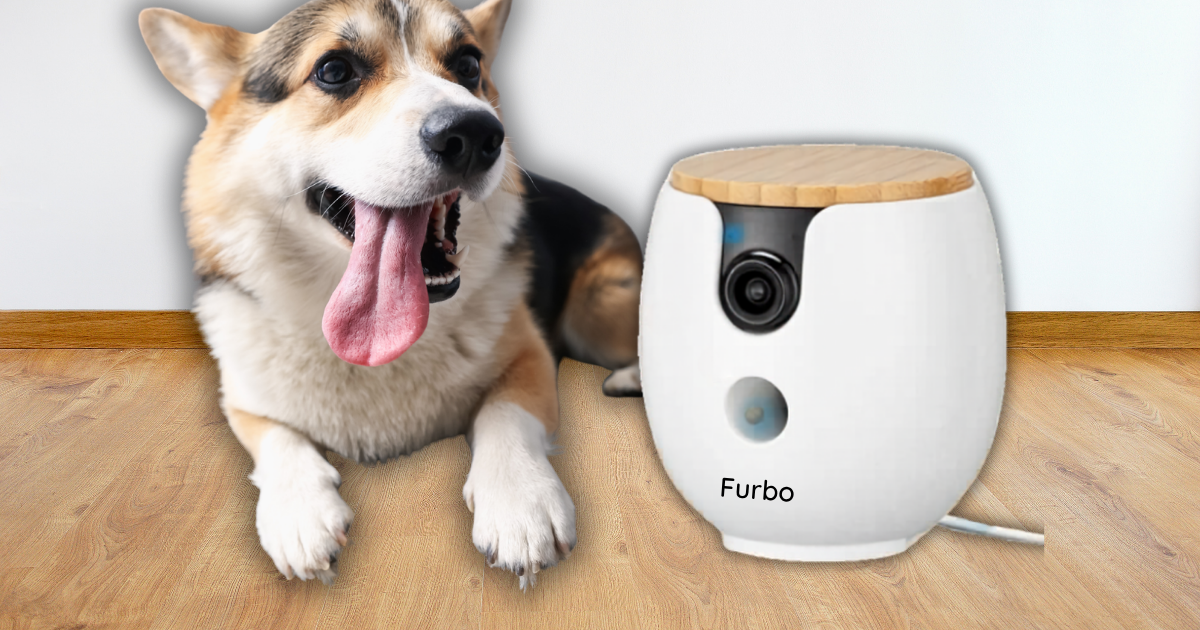Dog owners are buying this smart camera to ease holiday guilt this ...