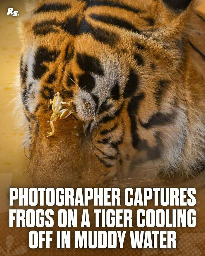 65 extraordinary photos of animals that prove nature still has its secrets