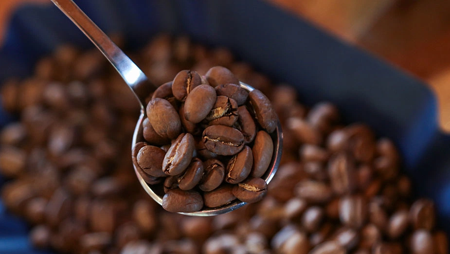 Studies reveal coffee's multi-pathway benefits for gut, brain and ageing