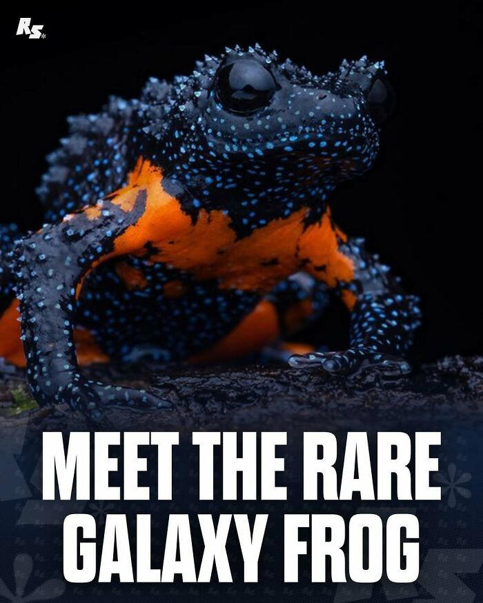 65 extraordinary photos of animals that prove nature still has its secrets