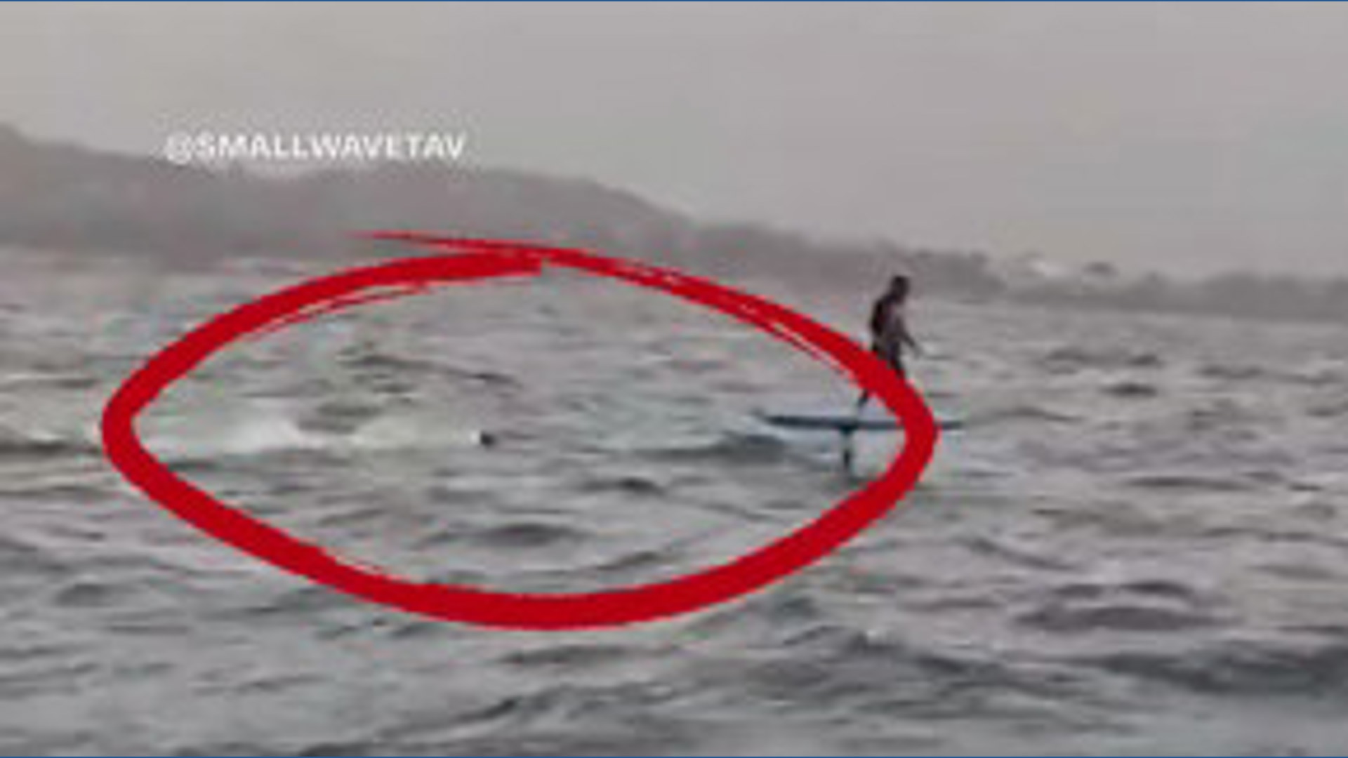 Shark chases surfer off coast of California