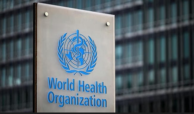 WHO confirms rare human-to-human spread in hantavirus outbreak on Dutch ...