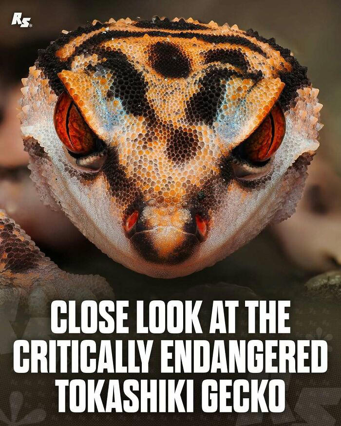 65 extraordinary photos of animals that prove nature still has its secrets