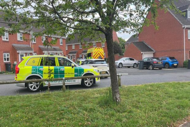 Man's death treated as 'unexplained' after emergency services rush to ...