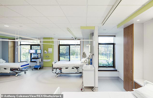 NASA scientist who 'died three times' saw same thing every time