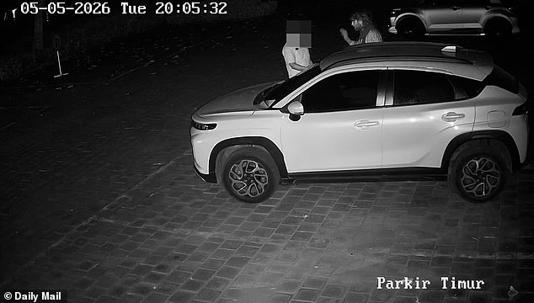 A British traveller has been arrested in Bali on suspicion of stabbing a receptionist at a luxury hotel on the paradise island - in a surprise attack caught on video. Pictured: Aaron Michel (R) talking to the receptionist 