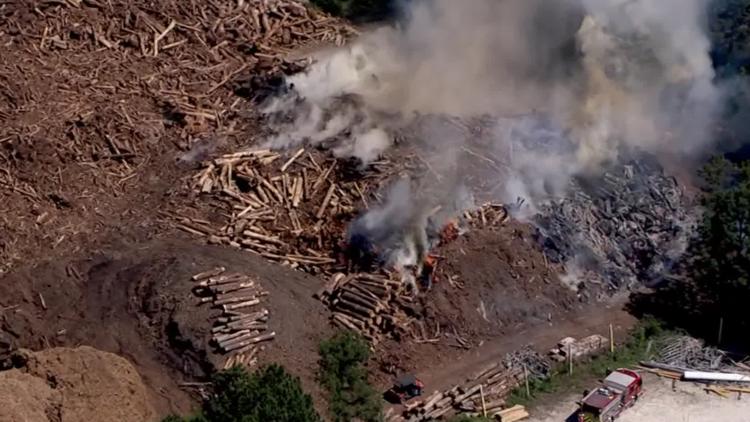 Tree debris fire burns for more than 24 hours at Lithonia business ...