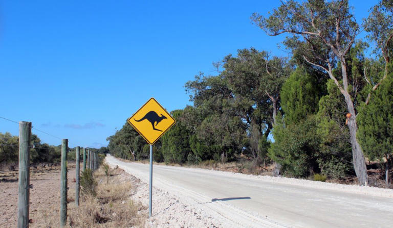 Surviving Kangaroo Island
