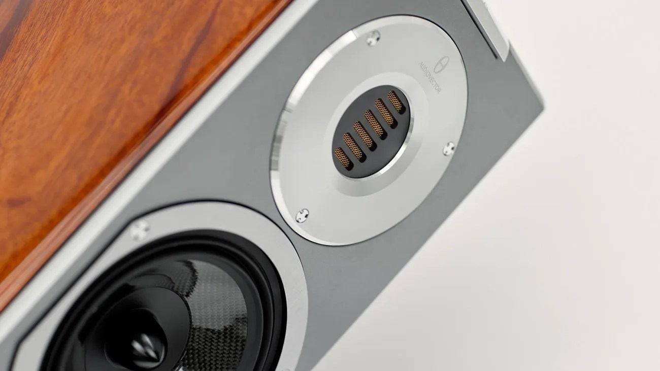 Close-up of a speaker with a wooden side panel and silver circular drivers on a gray front panel.