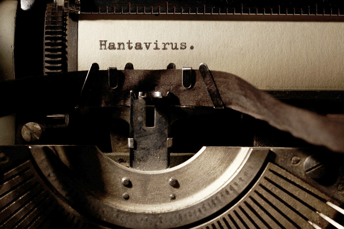 Hantavirus: What you need to know and how to protect yourself
