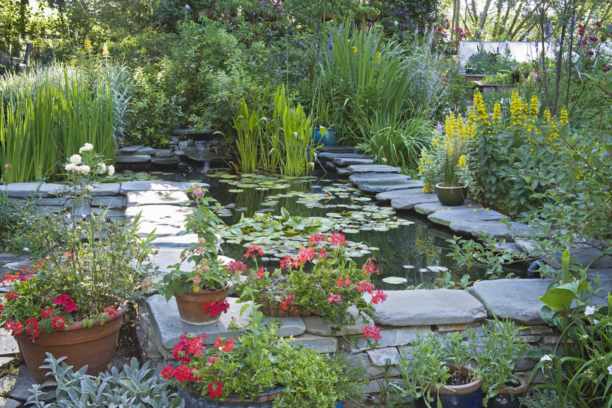 6 common landscaping choices gardeners say are actually the hardest to ...