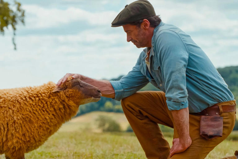 ‘The Sheep Detectives’ is the starry, family-friendly whodunit you didn ...