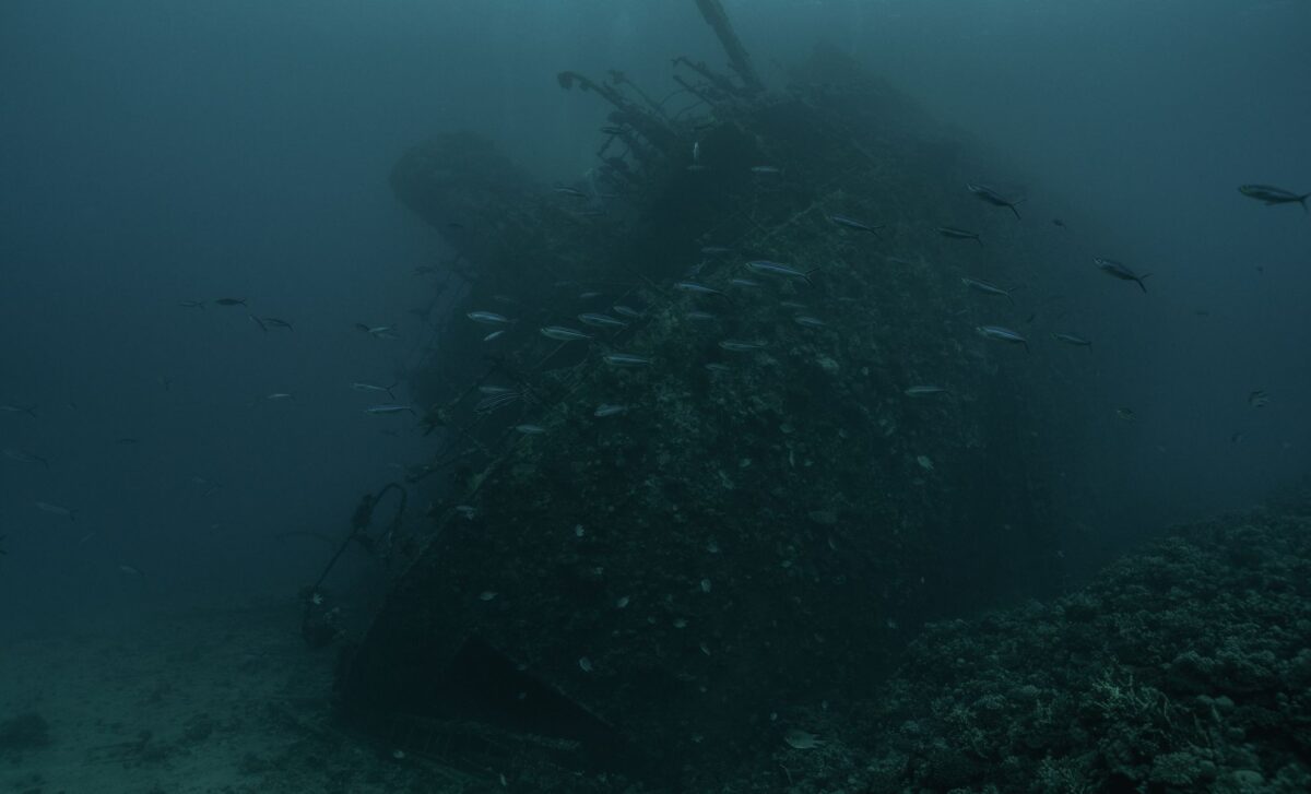 In just 13 days, divers found 22 shipwrecks hidden for over 2,000 years ...