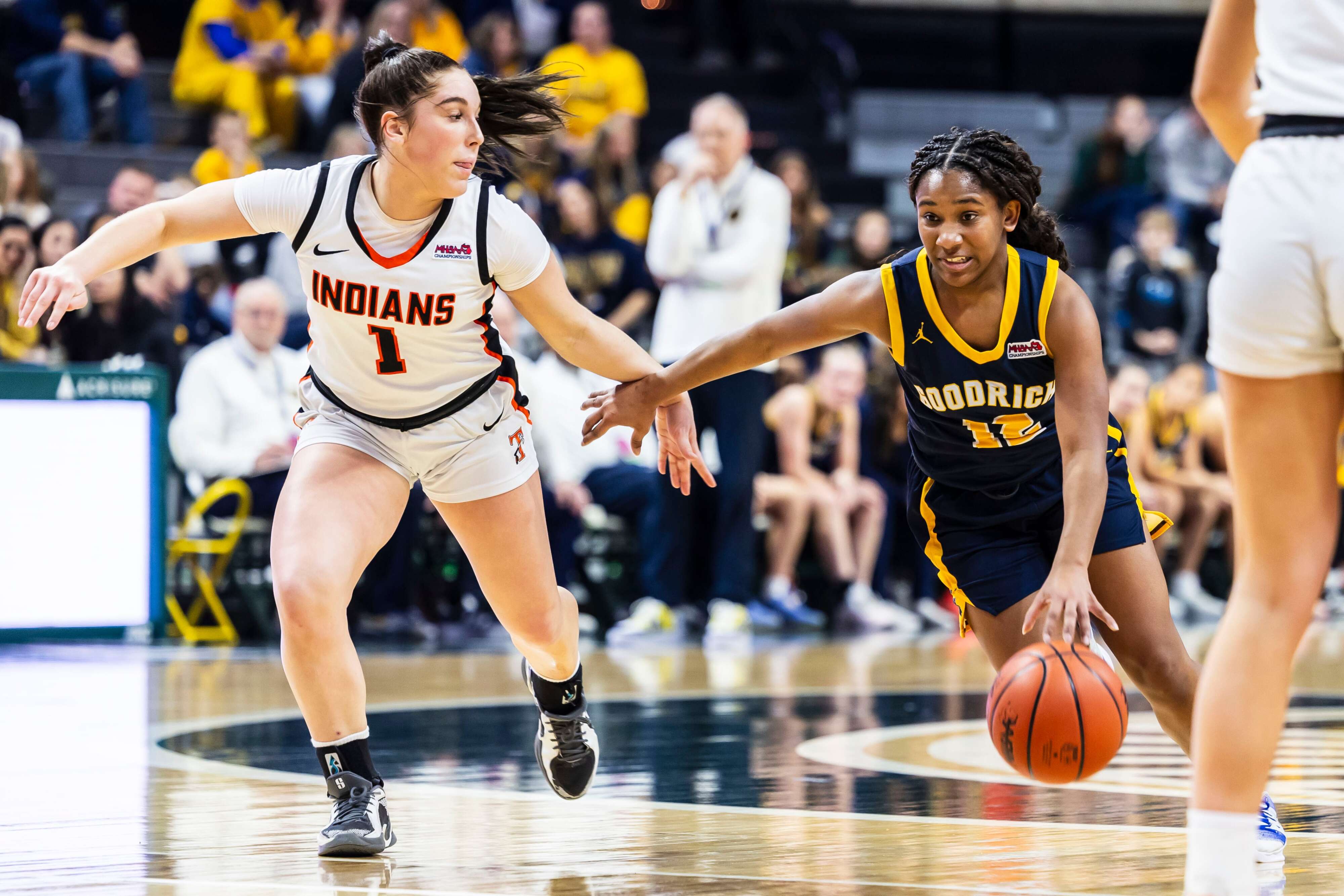 23 Flint-area basketball players earn BCAM all-state honors