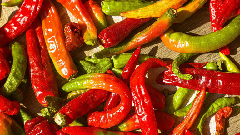 20 saveurs audacieuses qui vont marquer l’année 2026