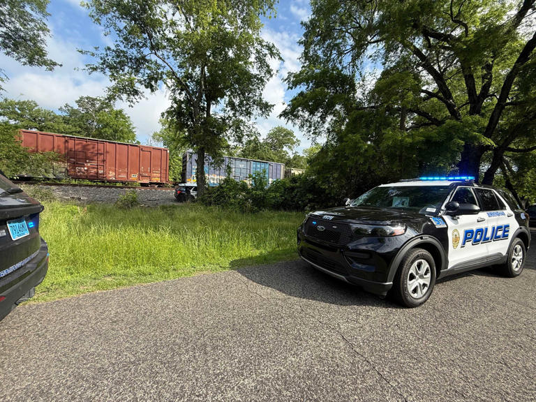 Woman struck by train while walking along tracks in Birmingham identified