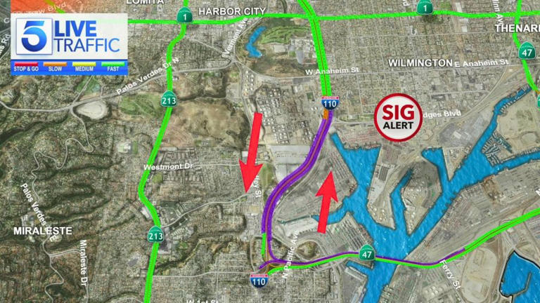 Stretch of 110 Freeway in San Pedro near encampment fire will reopen ...